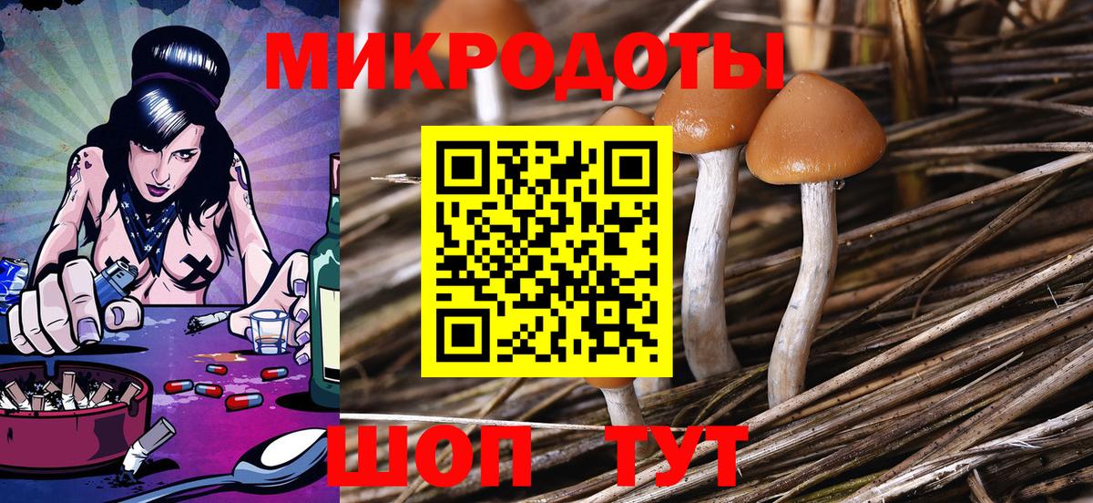 Вышний Волочёк  Псилоцибиновые грибы мухоморы  Вход с VPN 