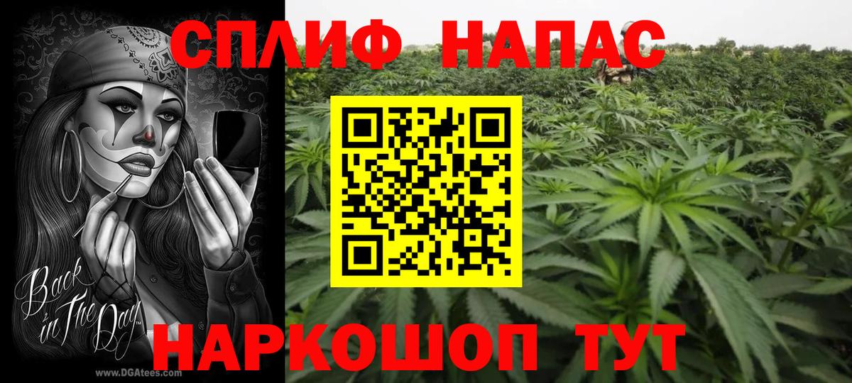 Каннабис ГИДРОПОН Вышний Волочёк